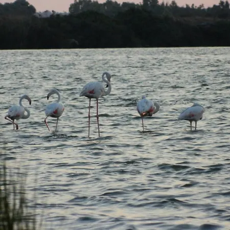 Tramonto In Laguna ゲストハウス カブラス